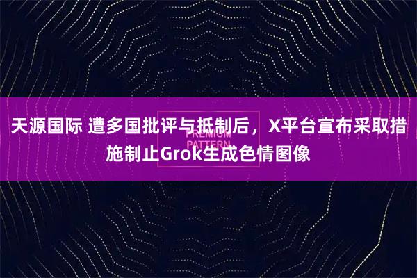 天源国际 遭多国批评与抵制后，X平台宣布采取措施制止Grok生成色情图像